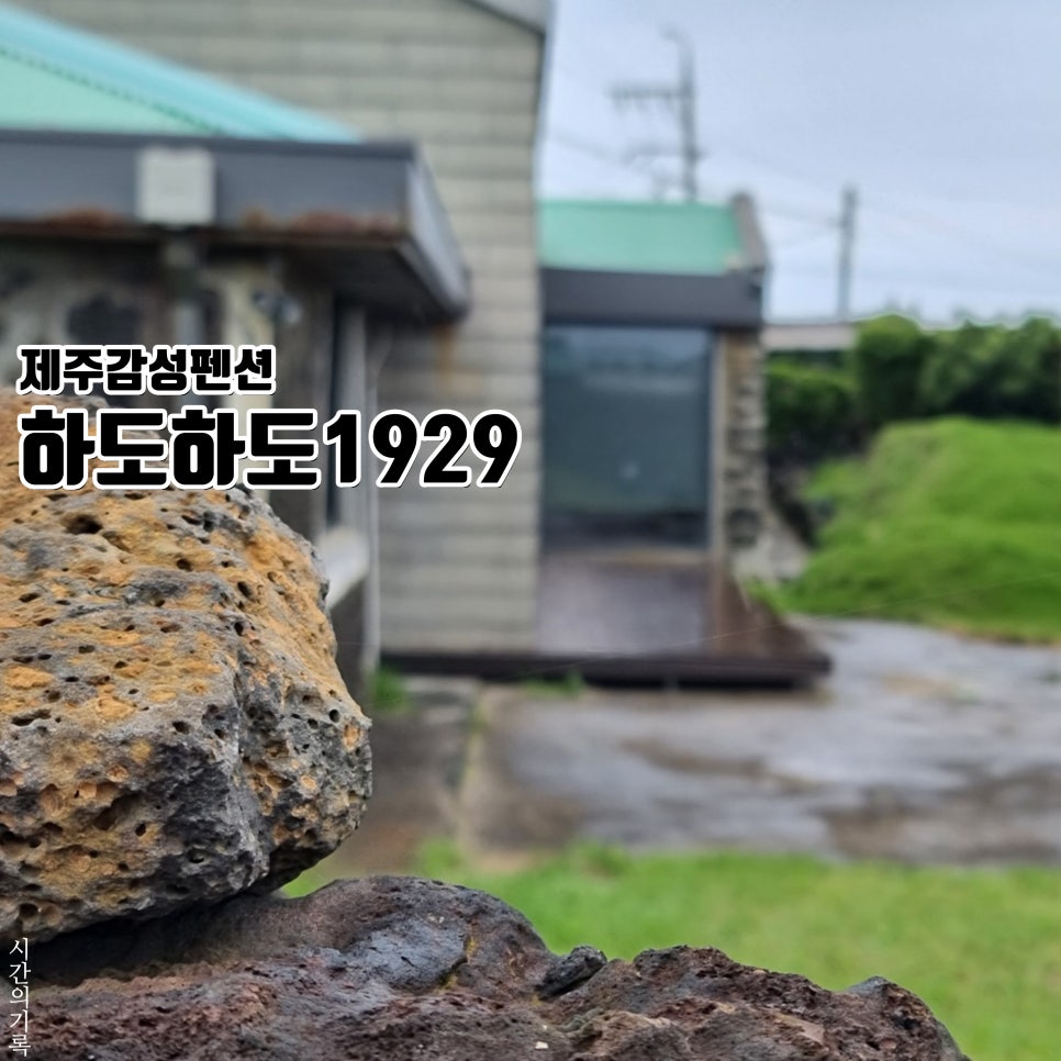 하도하도1929 이미지