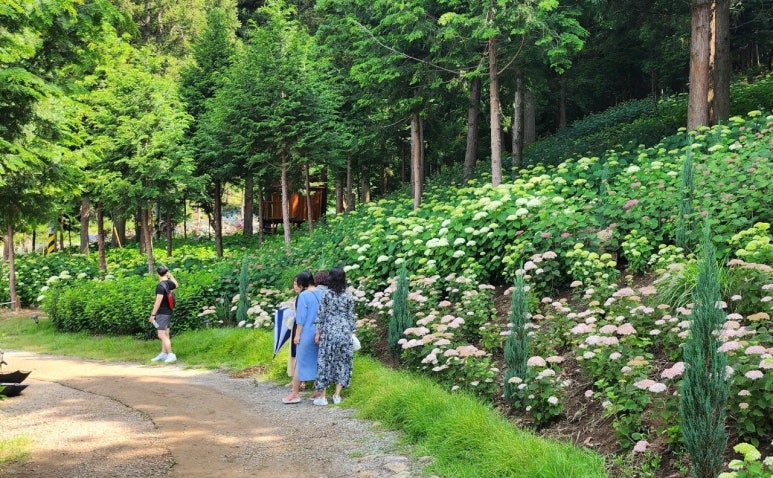 (주)남도연구소 이미지