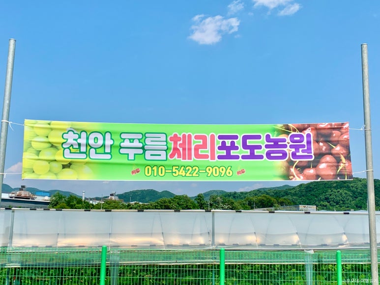 푸름체험여행 이미지