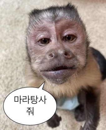 정통마라탕 이미지