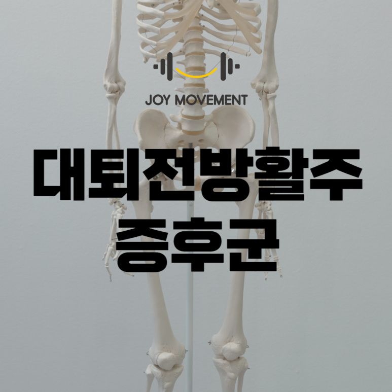 조이무브먼트 이미지