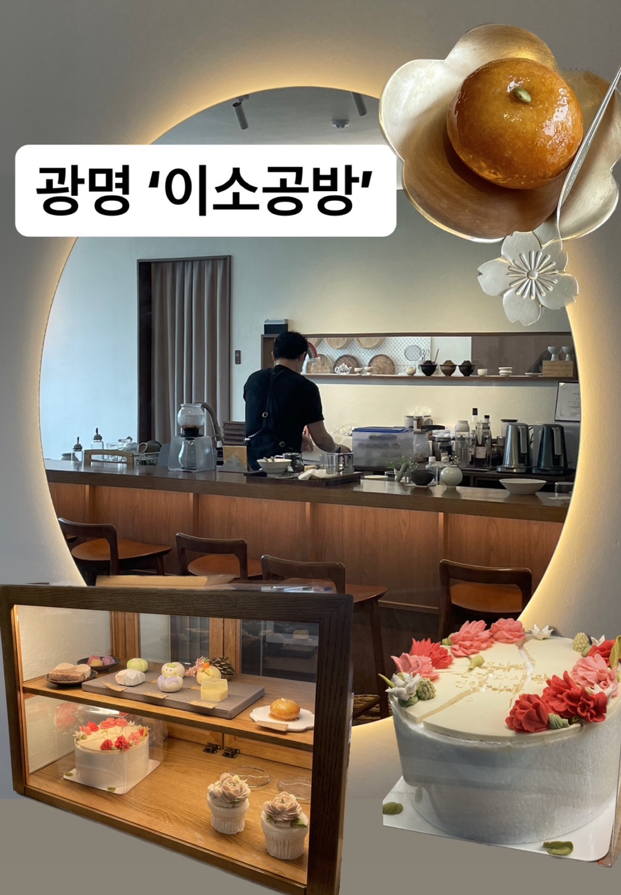 판다이소 이미지
