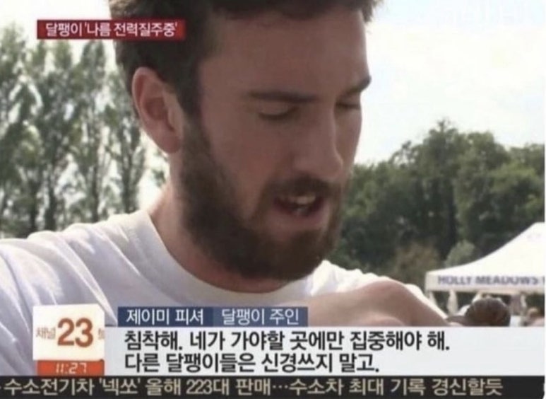 홀릭스그라운드 이미지