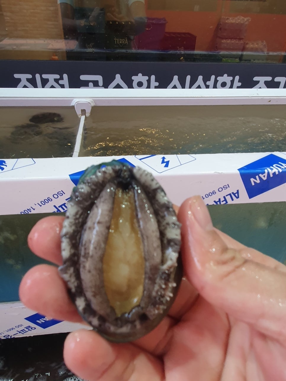 택이네조개전골영종 이미지