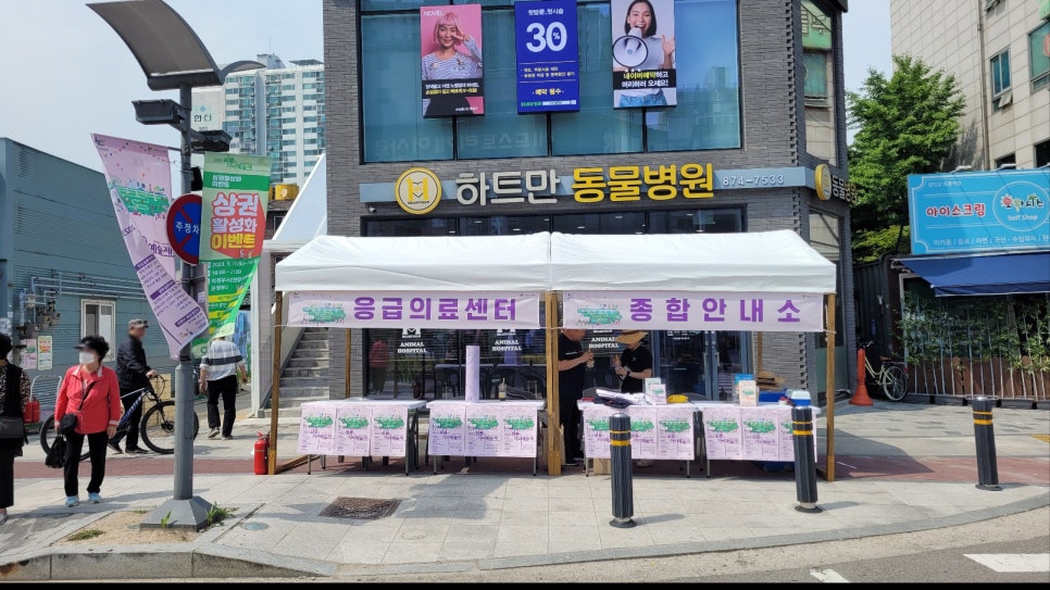 티트리렌탈 이미지