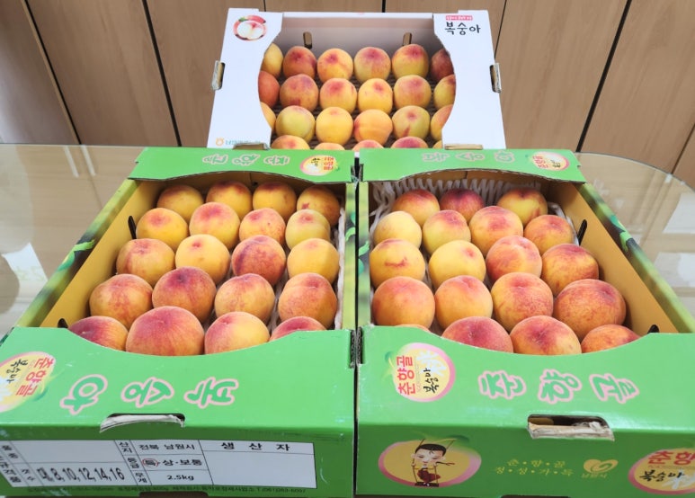 김0철 이미지