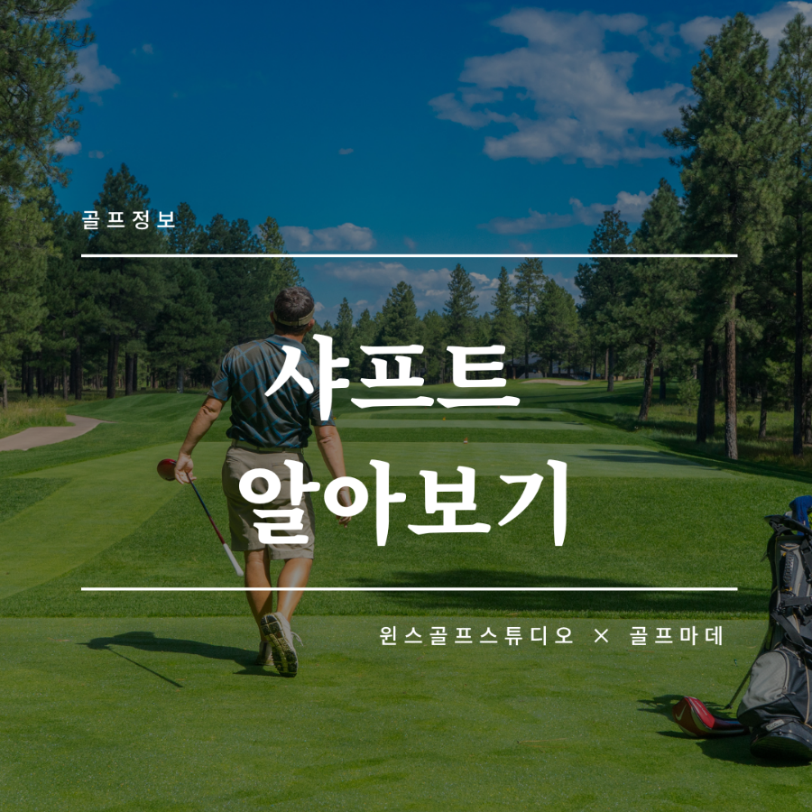 윈스골프스튜디오x골프마데 이미지