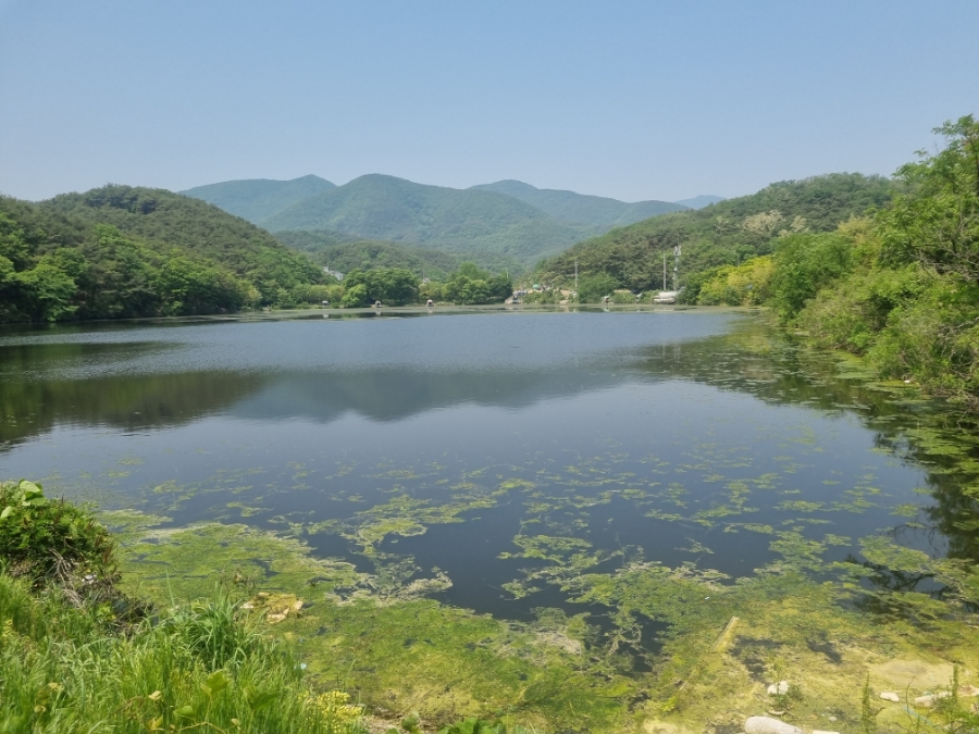 영천낚시 이미지