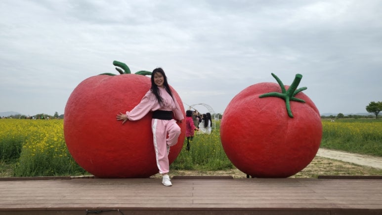 토마토 댄스스포츠학원 이미지