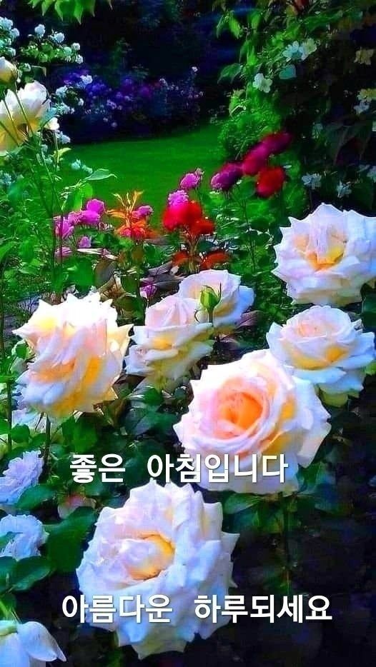 서현법무사사무소 이미지