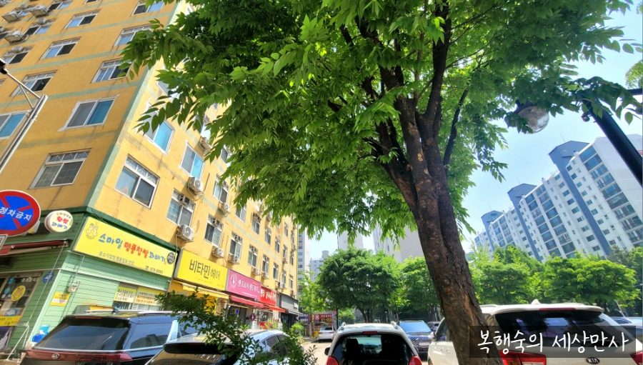 앤도로시샌드위치 이미지