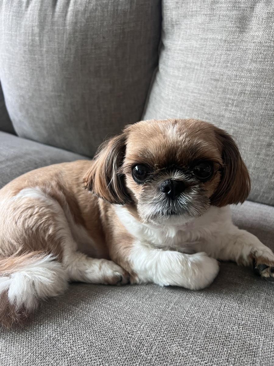 앤티앤스우 이미지