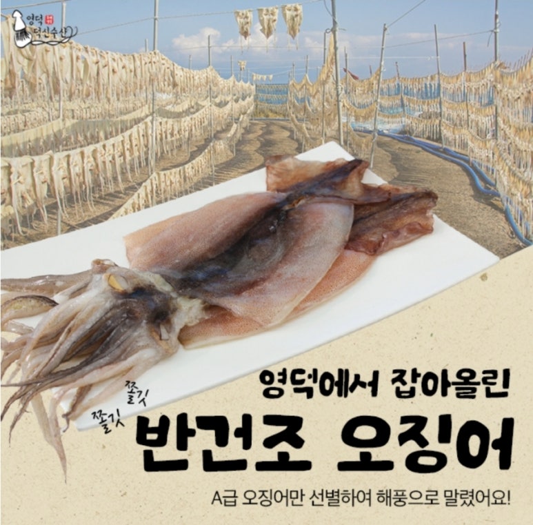 로또수산 이미지