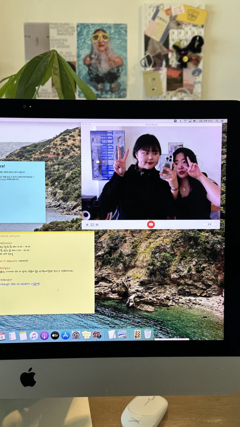 다휘 이미지