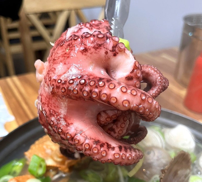 해:담음 해물칼국수 이미지