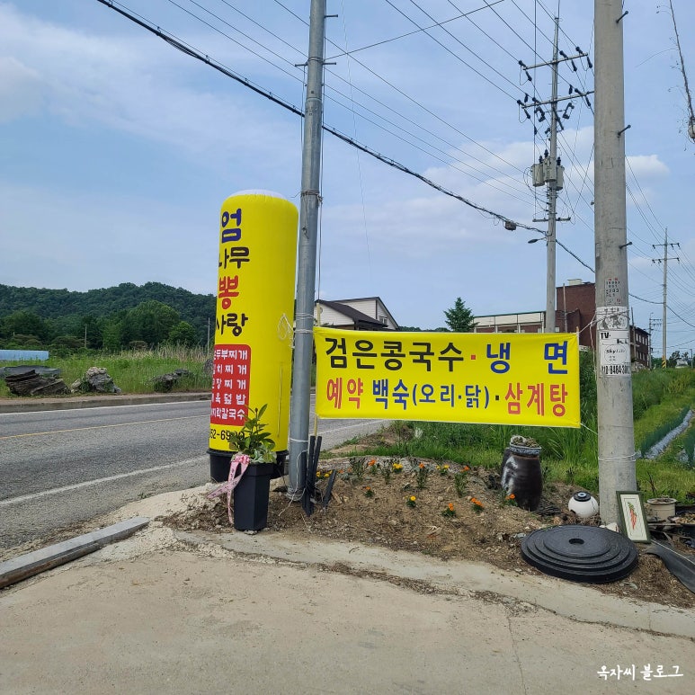 엄나무뽕사랑 이미지