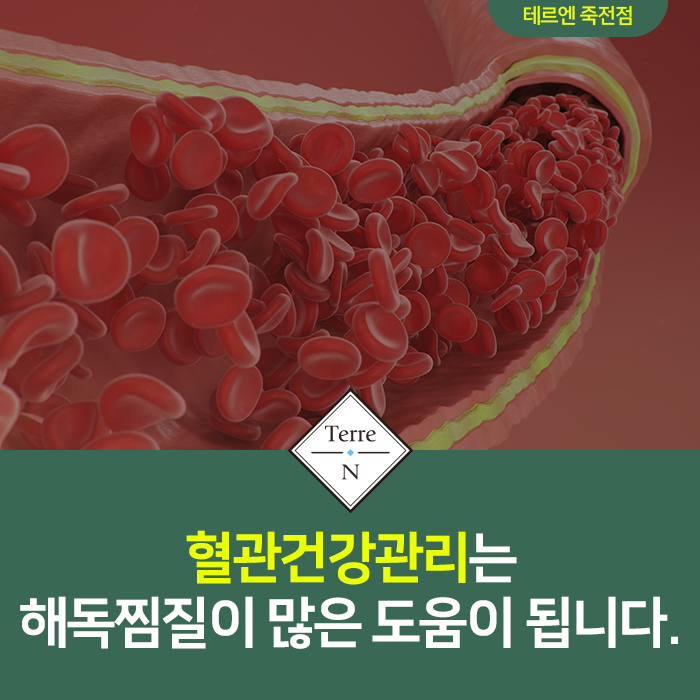 테르엔 이미지
