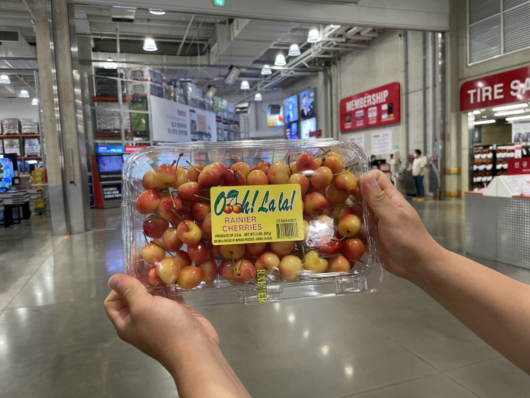 체리호프 이미지