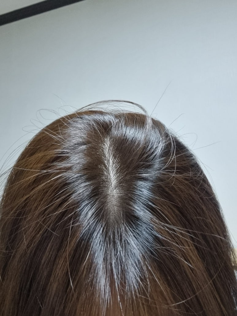 헤어레빗 이미지