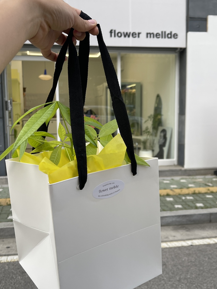 해조플라워 이미지