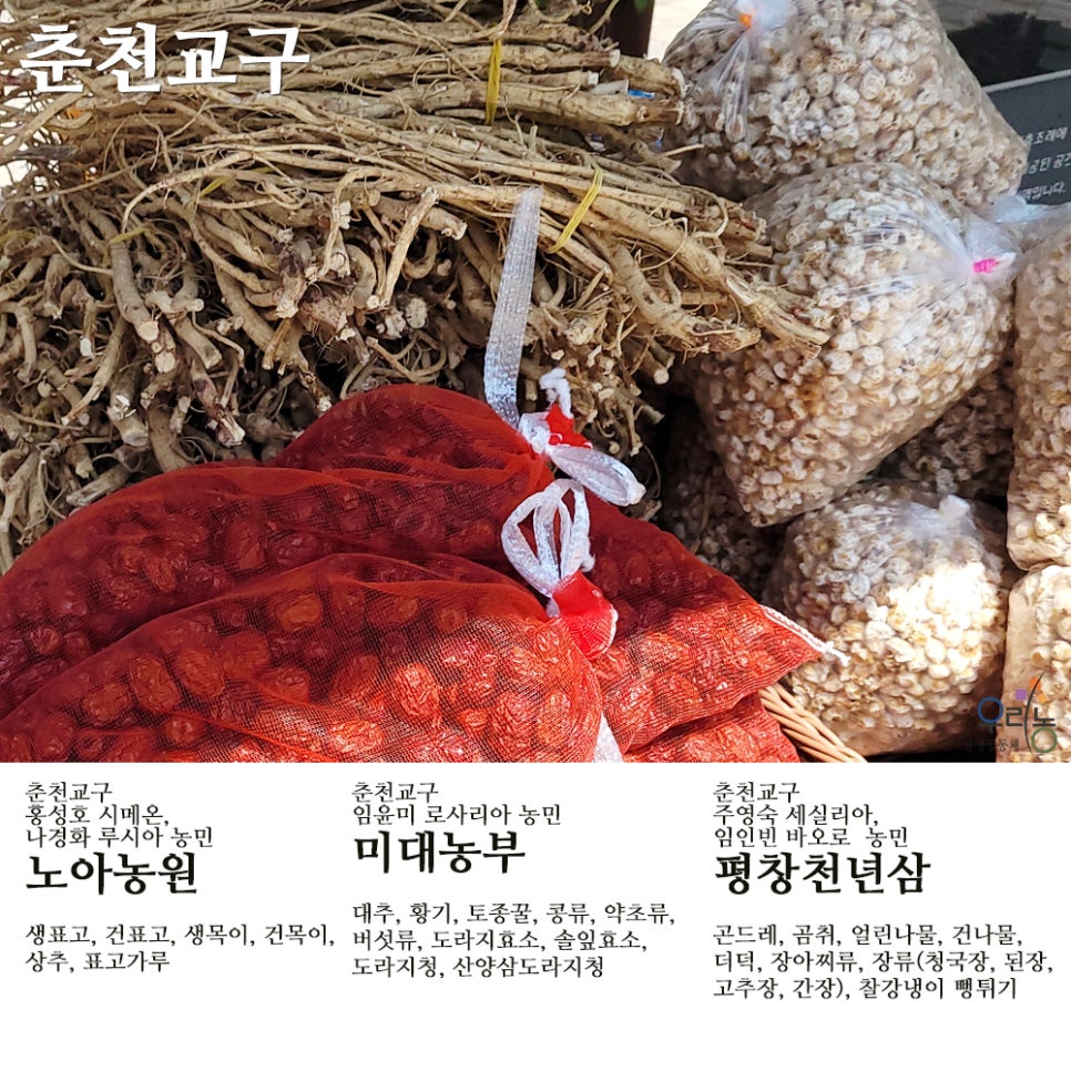 평창천년삼 이미지