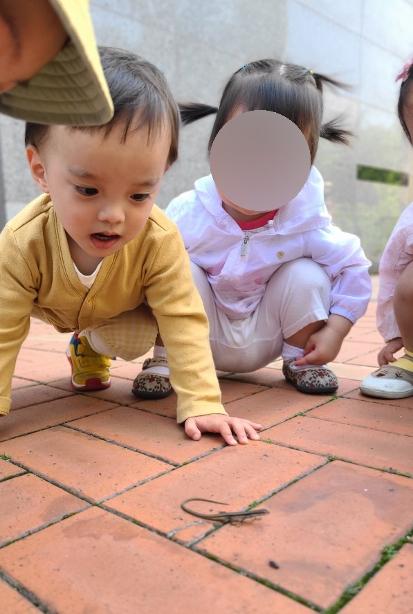 윤가네분식 이미지