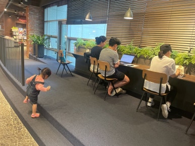 헤밍웨이가든 이미지