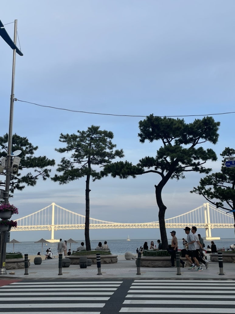 광안대교집씨푸드코스전문광안리독도꽃새우;대게회 이미지
