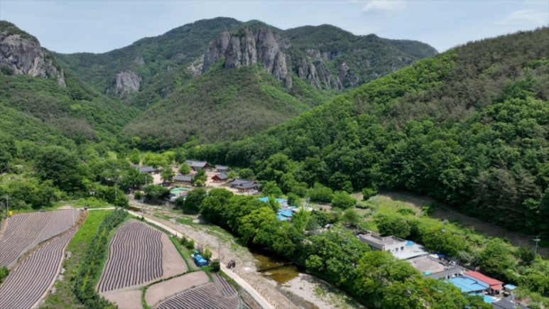 청송손칼국수 이미지