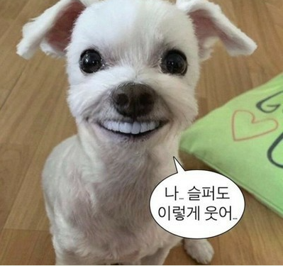에이블런 이미지