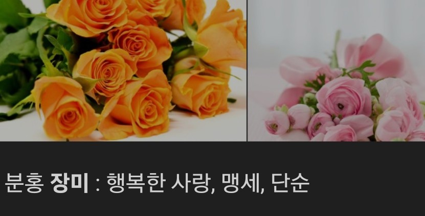 윤가네분식 이미지