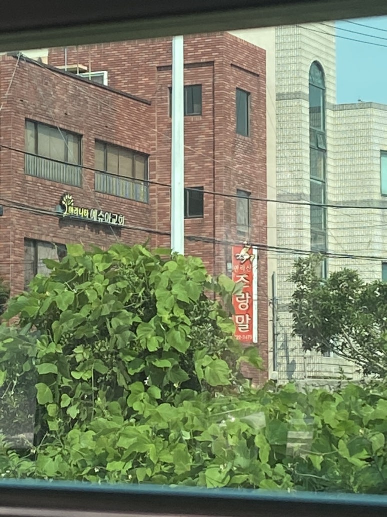 김녕로124 이미지