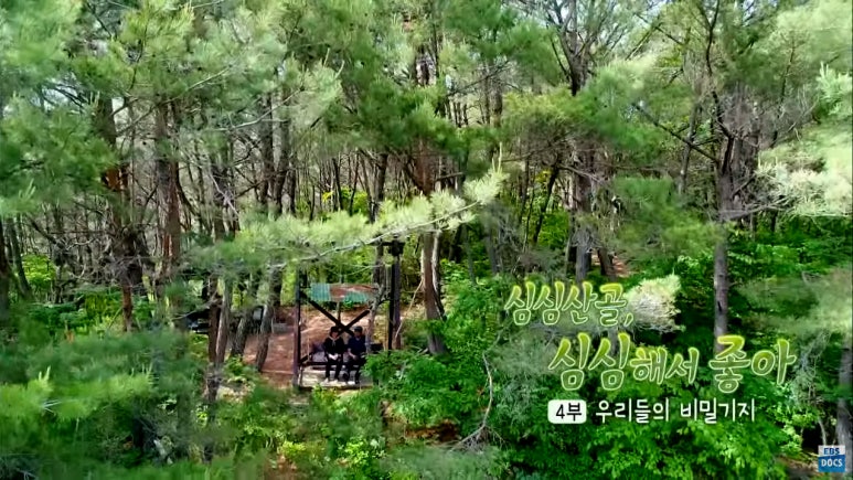 우리들의비밀기지 이미지