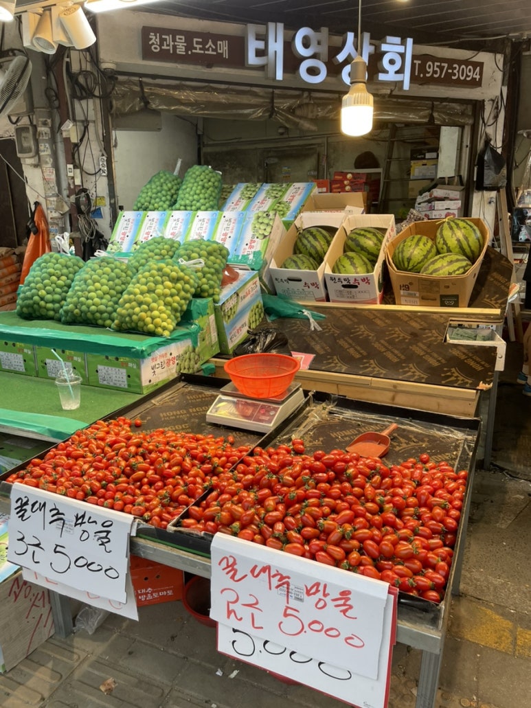 태영상회 이미지