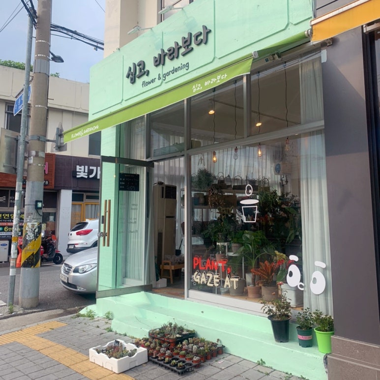 심고;바라보다 이미지