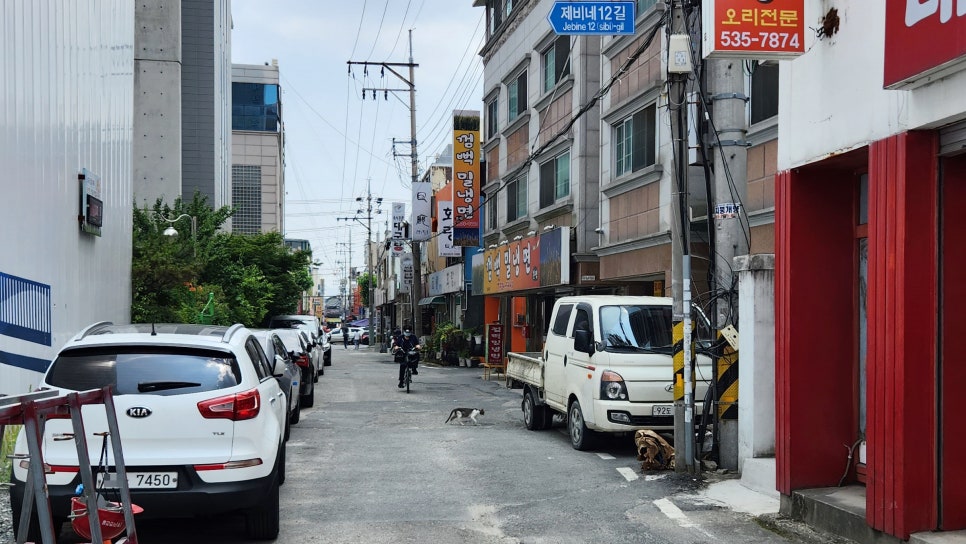 상쾌한장사랑내과 이미지