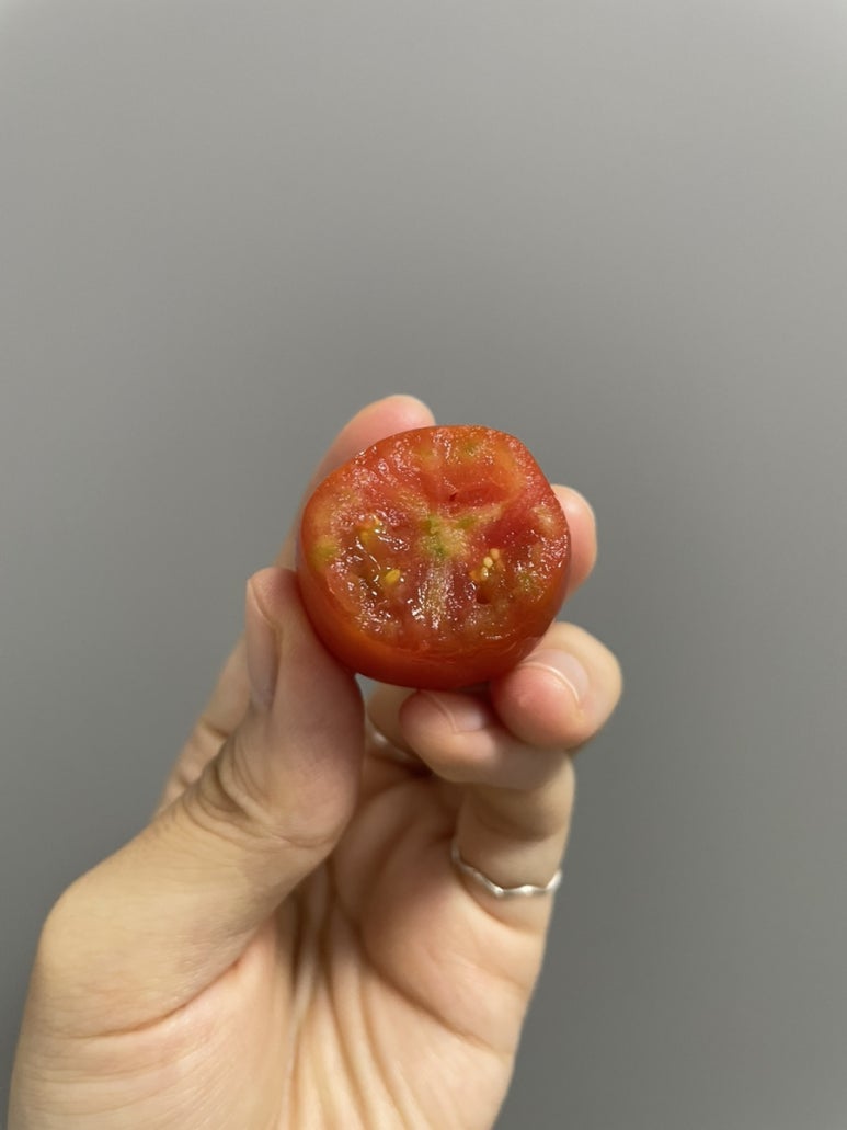 태영상회 이미지