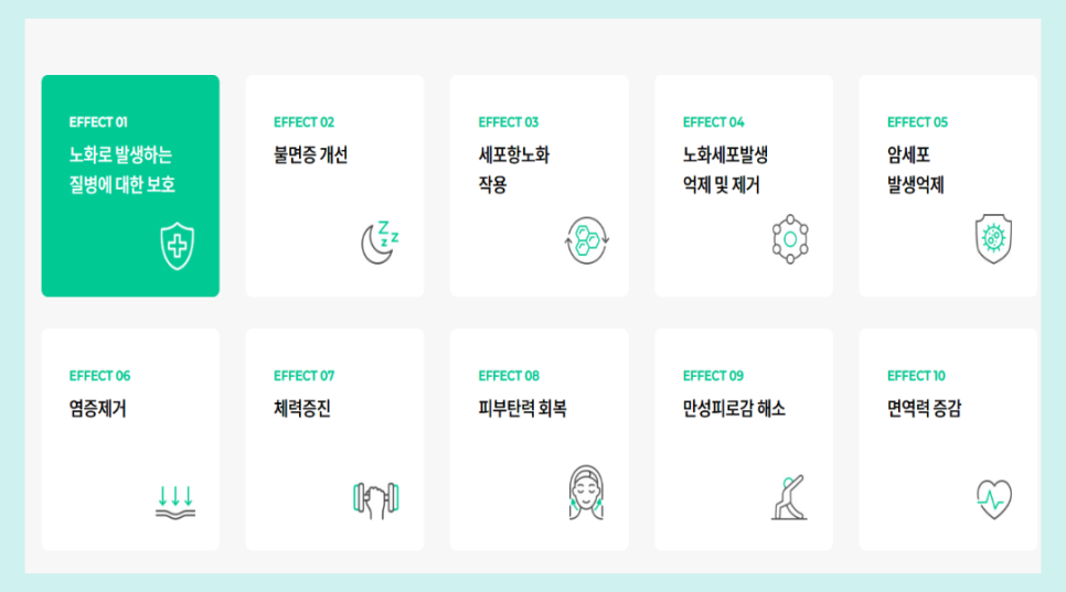 오아시스디앤디 이미지