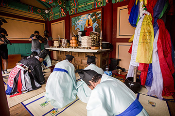 강릉가설 이미지