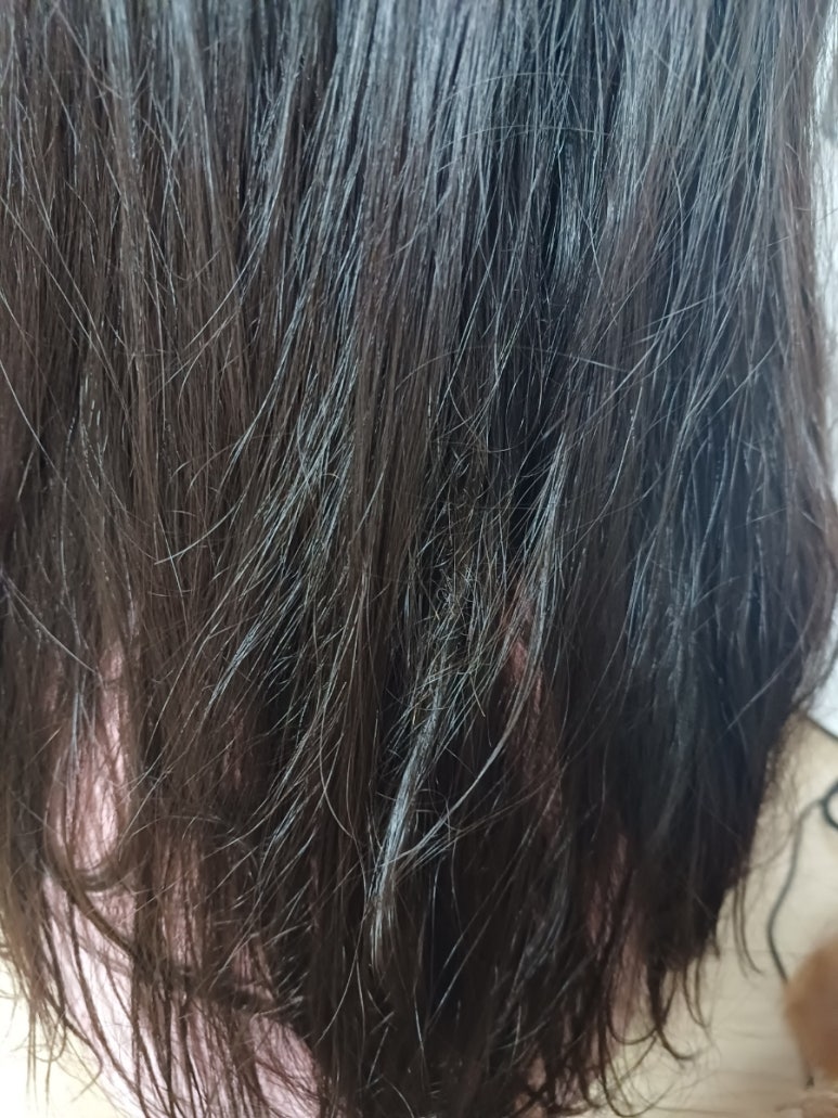 벨르플러스 이미지