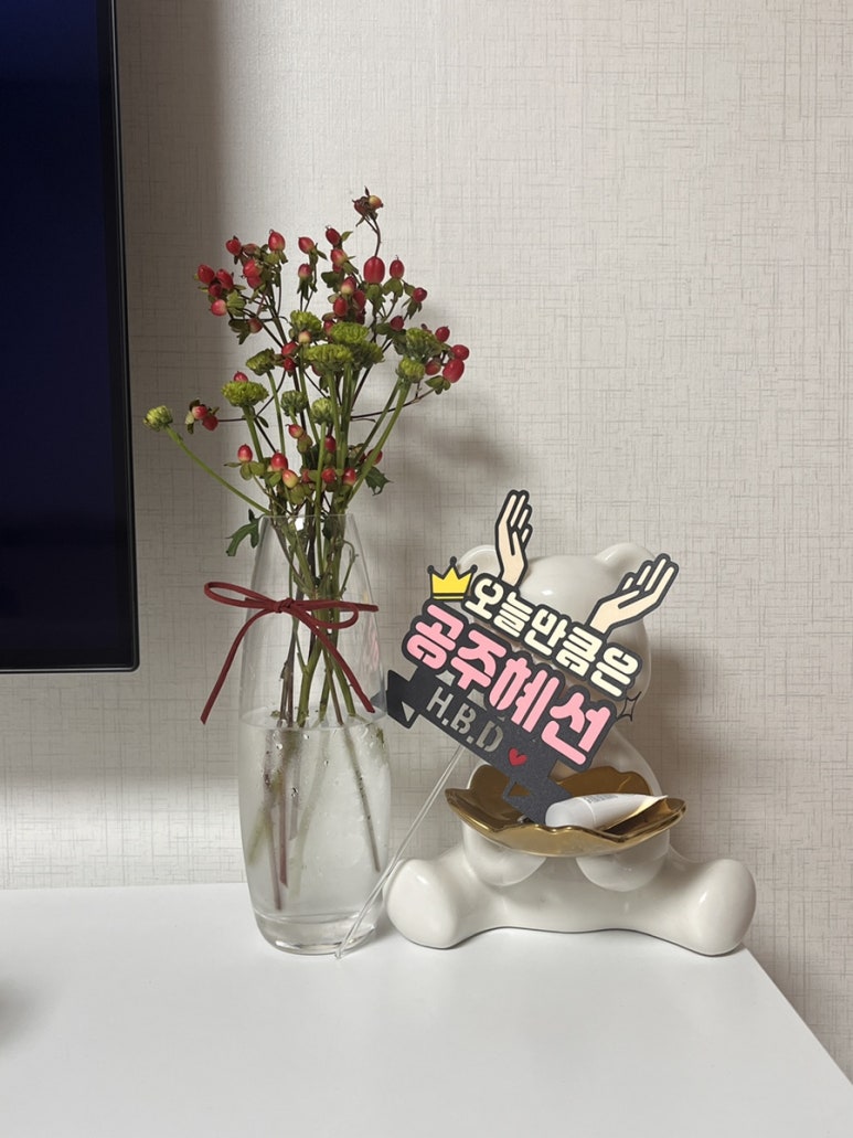 솔리토퍼 이미지