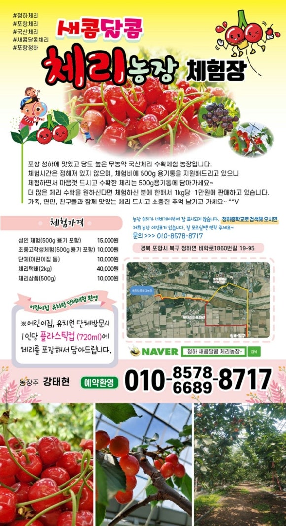 새콤달콤체리농장 이미지