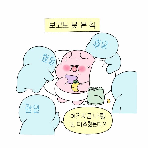 오린지 이미지