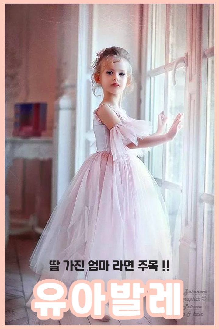 지나무용학원 이미지