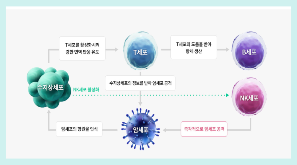 오아시스디앤디 이미지