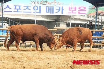 인생로또 이미지