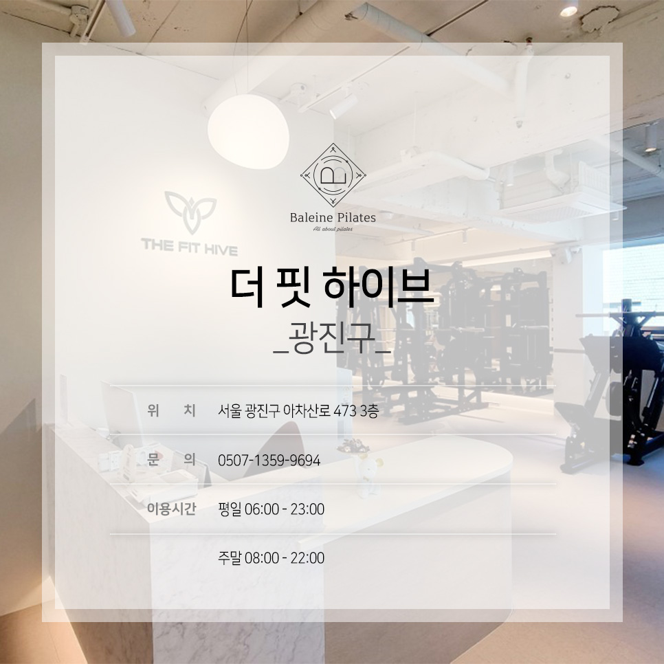 더핏하이브 이미지