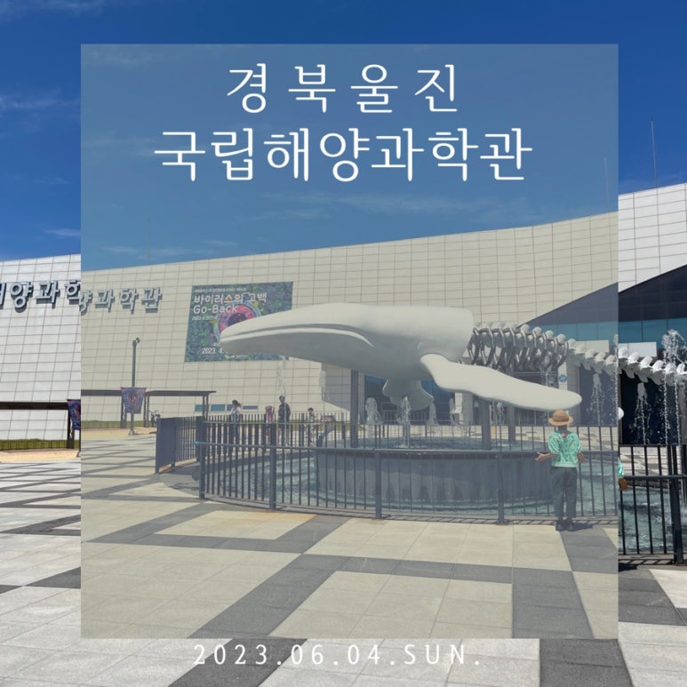 제일에스컬레이터(주) 이미지
