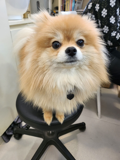 옥희미용실 이미지