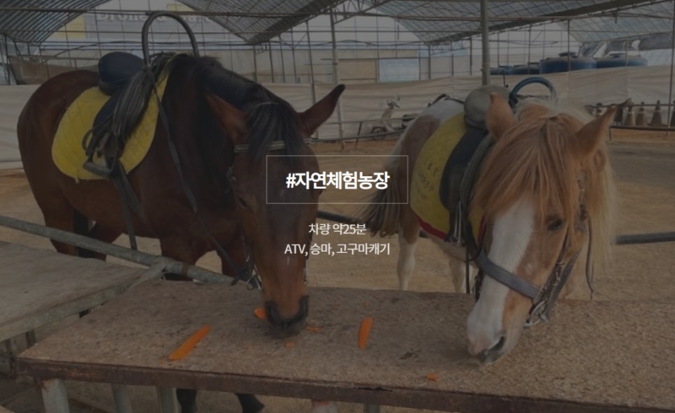야콘냉면칼국수 이미지